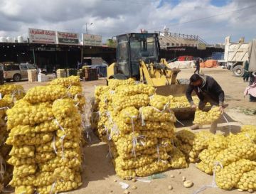 إتلاف كميات من الموز والبطاطا غير الصالحة للاستهلاك في إربد إتلاف كميات من الموز والبطاطا غير الصالحة للاستهلاك في إربد
