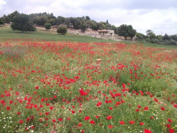 الأربعاء .. انخفاض طفيف على الحرارة وأجواء باردة نسبيا مع فرصة أمطار شمالا