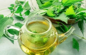 فوائد الشاي الأخضر وأسراره الصحية على الجسم والعقل