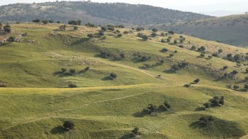 أجواء مشمسة والحرارة أعلى من معدلاتها بـ 6 درجات الخميس عاجل