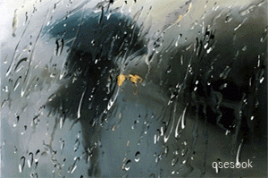 أجواء باردة حتى الأحد وتوقع هطل زخات من المطر