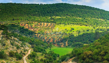 الأرصاد: شباط الحالي سيشهد درجات حرارة أعلى من معدلاتها