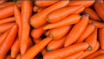 الجزر لا يقوي النظر.. قصة كذبة