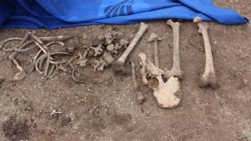 العثور على عظام بشرية مضى عليها فترات طويلة داخل مغارة في الكرك العثور على عظام بشرية مضى عليها فترات طويلة داخل مغارة في الكرك