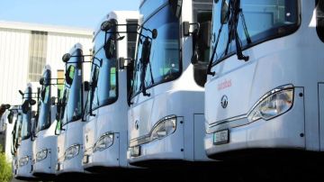 (المتكاملة للنقل) تربط 4 محافظات بالعاصمة في المرحلة الأولى