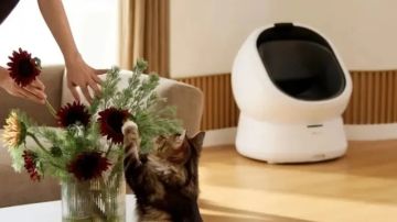 صندوق فضلات للقطط مزود بالذكاء الاصطناعي يكشف أمراض القطط مبكرا صندوق فضلات للقطط مزود بالذكاء الاصطناعي يكشف أمراض القطط مبكرا