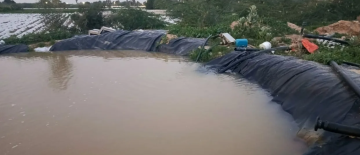 حملة أمنية كبيرة في الشونة الجنوبية لضبط مخالفات مائية حملة أمنية كبيرة في الشونة الجنوبية لضبط مخالفات مائية