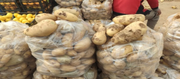 إتلاف 7 أطنان من البطاطا في السوق المركزي في إربد