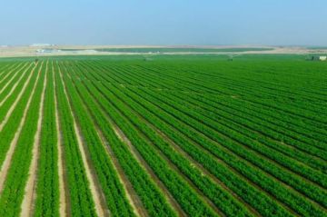 دراسة تحليلية للمجلس الاقتصادي توصي بتطوير الزراعة الأردنية عبر التحول الرقمي وتعزيز البحث العلمي دراسة تحليلية للمجلس الاقتصادي توصي بتطوير الزراعة الأردنية عبر التحول الرقمي وتعزيز البحث العلمي