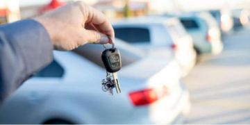 حماية قطاع السيارات السياحية من النمر البيضاء أولى من إرهاقه بالنصف مليون