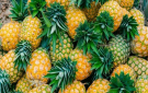 4 فوائد مذهلة للأناناس لصحة الهضم والقلب والالتهاب! - jo