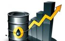 النفط يواصل الارتفاع - jo