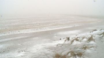 زخات ثلجية على المرتفعات الجنوبية في الطفيلة وأمطار غزيرة في باقي المناطق