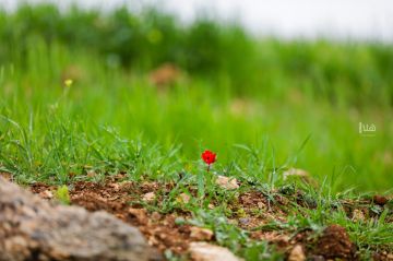 ارتفاع طفيف على الحرارة الثلاثاء وحالة عدم استقرار جوي مساء الأربعاء ارتفاع طفيف على الحرارة الثلاثاء وحالة عدم استقرار جوي مساء الأربعاء