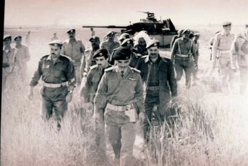 الطراونة: بعزيمة الكرامة الأردن قلعة هاشمية لا تنحني الطراونة: بعزيمة الكرامة الأردن قلعة هاشمية لا تنحني