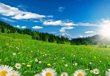 الأرصاد: بدء فصل الربيع فلكيا الأرصاد: بدء فصل الربيع فلكيا