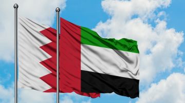 الإمارات تعلن مقتل متعاقد مدني بالقوات المسلحة الإماراتية في البحرين