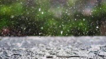 الهطولات المطرية الأخيرة تنعش الزراعة في لواء البترا