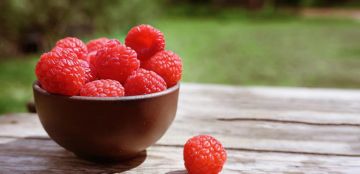 هل تعلمون؟ توت العليق من أفضل الفواكه لصحة الأمعاء