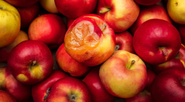 لا تتخلص من التفاح القديم .. فوائد صحية خفية