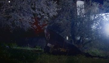 الأمن العام : تعاملنا مع 356 بلاغا لحادث سقوط شظايا عاجل