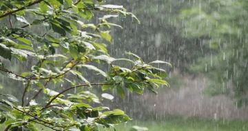 السبت.. انخفاض طفيف على درجات الحرارة وفرصة لزخات مطر متفرقة