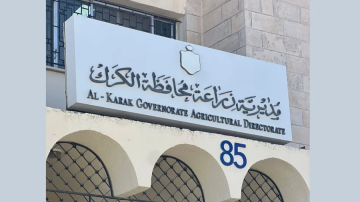 زراعة الكرك: الهطولات المطرية الأخيرة تبشر بموسم زراعي إيجابي لمختلف المحاصيل