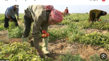 مهم للباحثين عن عمل قروض حسنة تصل إلى 15 ألف دينار .. تفاصيل