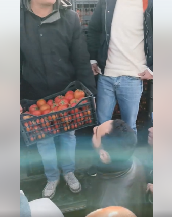 بالفيديو .. سعر الكيلو البندورة يصل إلى دينار ونصف في السوق المركزي