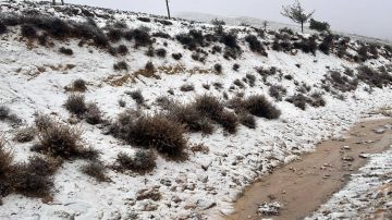 الزائر الأبيض يطرق أبواب الجنوب صباح الخميس الزائر الأبيض يطرق أبواب الجنوب صباح الخميس