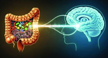 شيخوخة الأمعاء تزيد تدهور القدرات الإدراكية شيخوخة الأمعاء تزيد تدهور القدرات الإدراكية