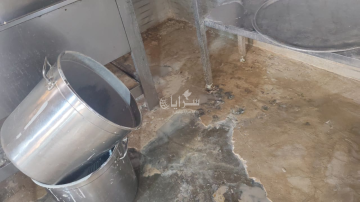 إغلاق مخبز في المفرق بالشمع الاحمر بعد ضبط آثار قوارض فيه .. صور