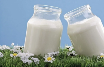 الزبادي المخمر.. فوائد أكبر لصحة العظام من باقي منتجات الألبان! الزبادي المخمر.. فوائد أكبر لصحة العظام من باقي منتجات الألبان!