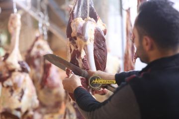 القضاة: مخزون السلع الغذائية في الأردن آمن ويكفي لمدة مريحة