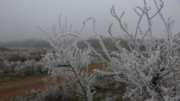 الأرصاد تحذر من الصقيع والضباب في عدة مناطق خلال الأيام القادمة