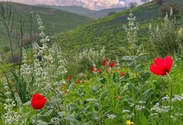 الخميس.. ارتفاع طفيف على الحرارة وأجواء باردة مع احتمال تشكل الصقيع فجرا