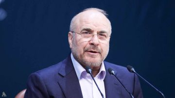 رئيس البرلمان الإيراني: الأمن الإقليمي لا يفرض من الخارج