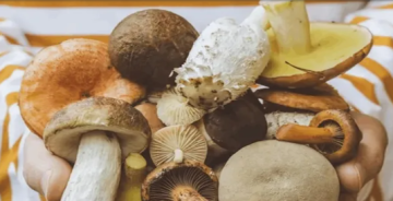 ماذا يحدث لضغط دمك عند تناول الفطر بانتظام؟