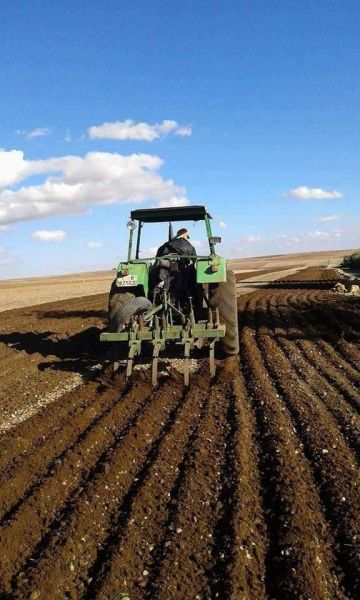 زراعة الطفيلة تدعو المزارعين للمباشرة بحراثة أراضيهم للاستفادة من كميات الأمطار