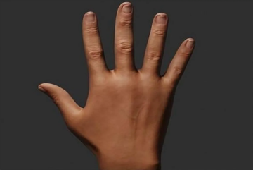 علماء يكشفون سر تفوق اليد اليمنى في القتال