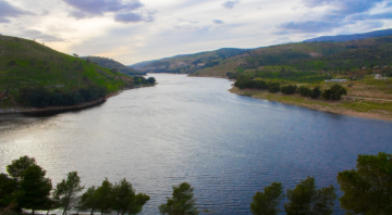 وزارة الزراعة: الموسم المطري ممتاز ويعزز إنتاجية الأشجار والمحاصيل وزارة الزراعة: الموسم المطري ممتاز ويعزز إنتاجية الأشجار والمحاصيل