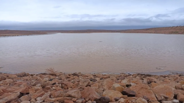 إعادة فتح طريق قرى النعيمات في معان جزئيا أمام المركبات الصغيرة إعادة فتح طريق قرى النعيمات في معان جزئيا أمام المركبات الصغيرة