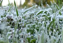 الأرصاد تحذر من الصقيع والضباب في المرتفعات الجبلية