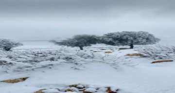 تساقط الثلوج على مرتفعات الشوبك وتحذيرات من مخاطر الطرق والضباب