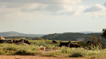 ارتفاع طفيف على الحرارة الثلاثاء وحالة عدم استقرار جوي مساء الأربعاء عاجل