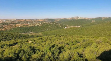 مشروع راجب الزراعي يعزز التنمية المستدامة في عجلون مشروع راجب الزراعي يعزز التنمية المستدامة في عجلون