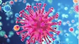 260 ألف حالة وفاة سنويا .. التهاب السحايا يستنفر منظمة الصحة العالمية 260 ألف حالة وفاة سنويا .. التهاب السحايا يستنفر منظمة الصحة العالمية