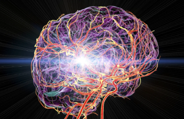 دراسة يابانية: كوب حليب يوميا قد يحد من خطر السكتة الدماغية