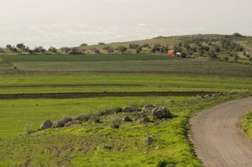 وزارة الزراعة: الأمطار الأخيرة تبشر بموسم زراعي واعد