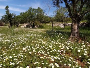 الخميس.. أجواء مغبرة وارتفاع طفيف على درجات الحرارة مع فرصة أمطار شرق المملكة الخميس.. أجواء مغبرة وارتفاع طفيف على درجات الحرارة مع فرصة أمطار شرق المملكة